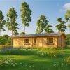 Medinis namas LINCOLN 72 m² 6×12 m, 66 mm
